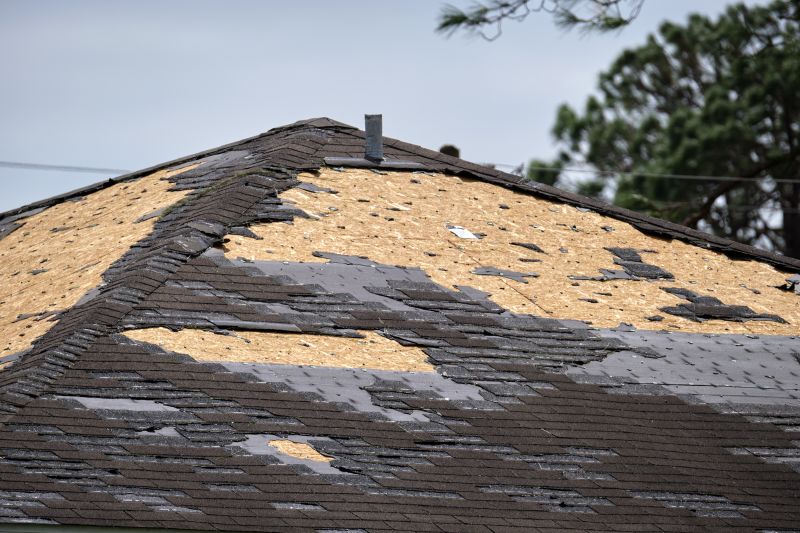 Roof Flashing and Underlayment