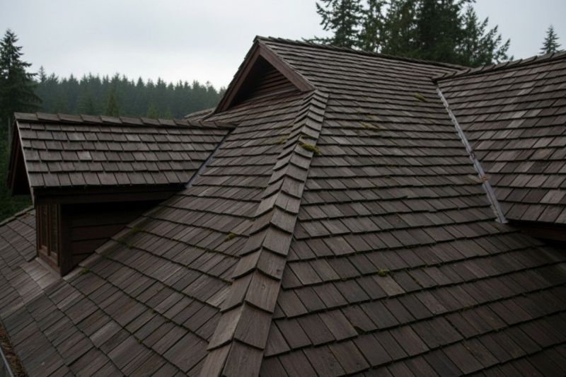 What Makes Cedar Shake Roof Replacement A Premium Roofing Choice